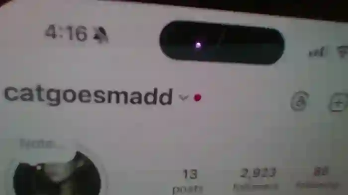 avangelinefunn99