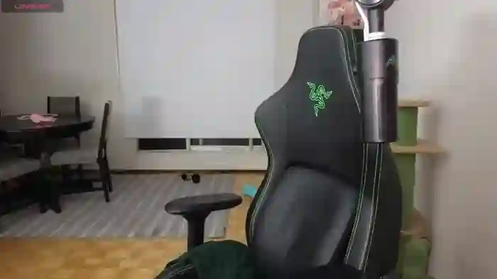 alexa_dream
