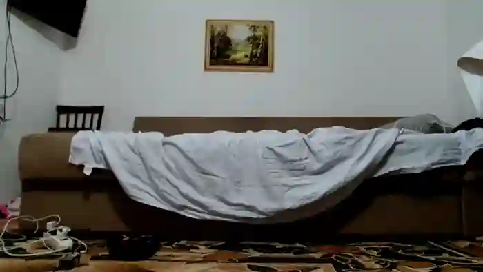 silvess333