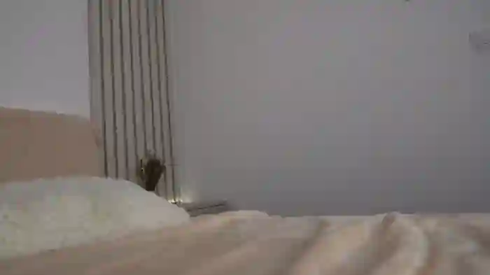 funny_to_see_you_here