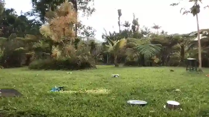 kaileeshy