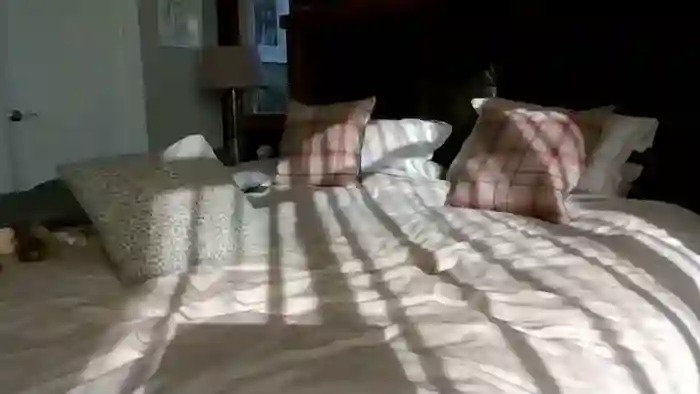 kumfoxlive