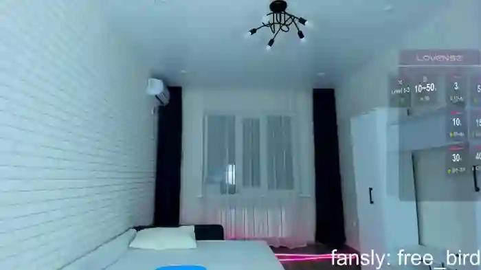 free_birdd