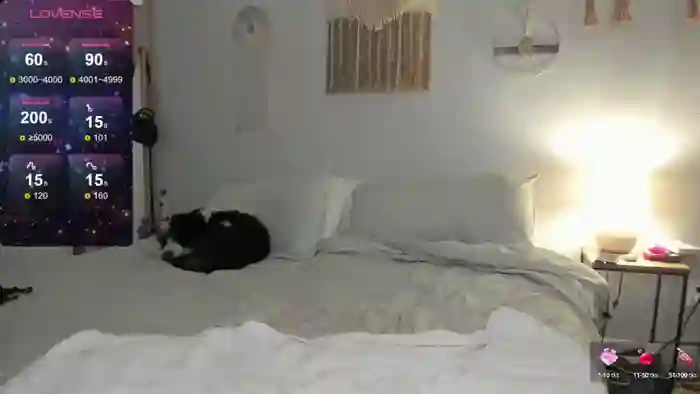 theselina_kyle