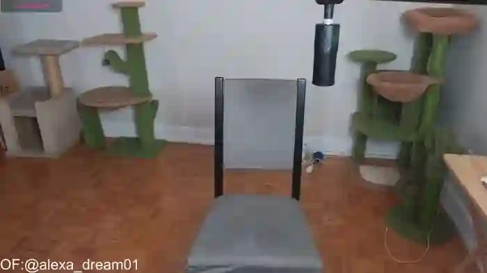 alexa_dream