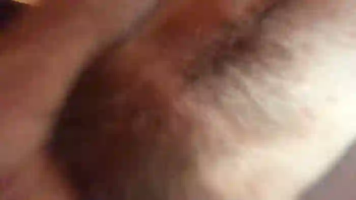 hairygiganticcockpornactorerik