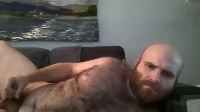hairiestbear