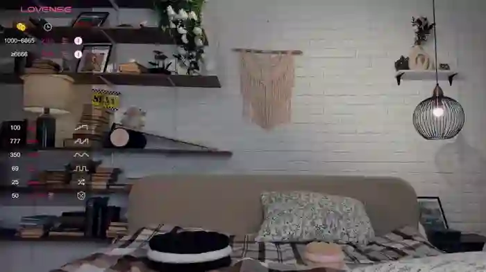 riskyproject