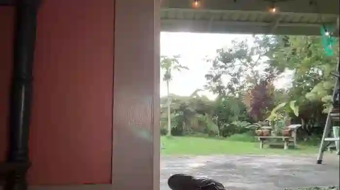 kaileeshy