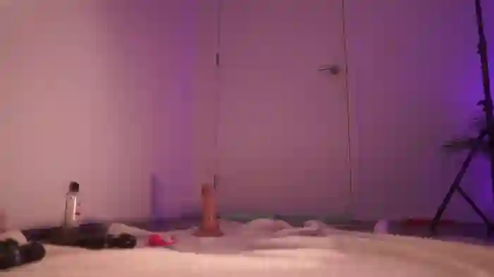 letiziafulkers1
