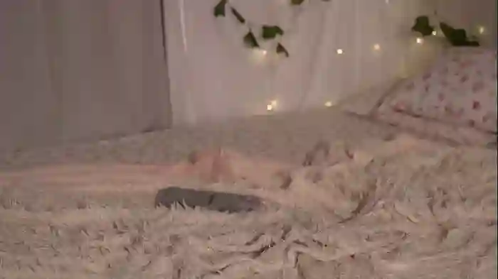 eli_sun