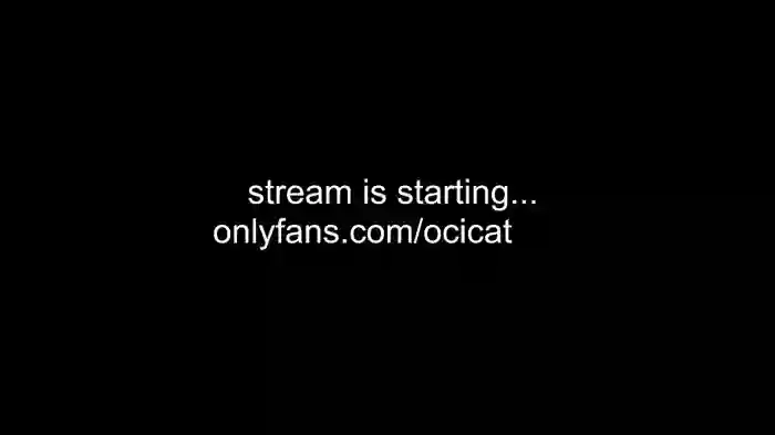 ocicat