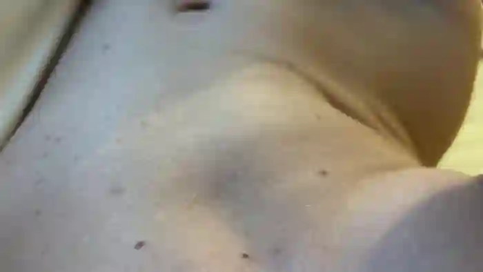 college_slut__