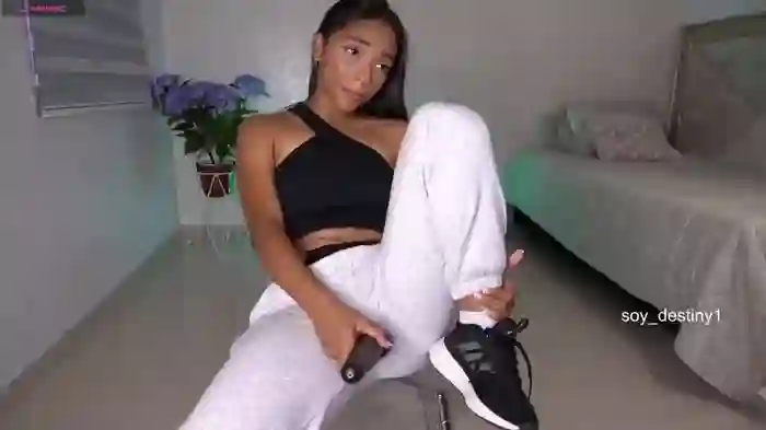 soy_destiny