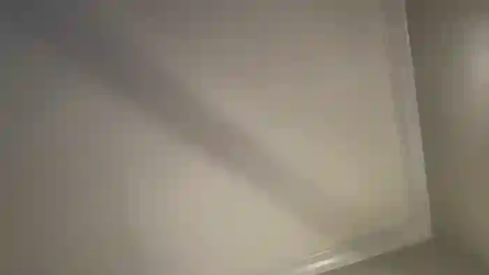 cassidyjustin