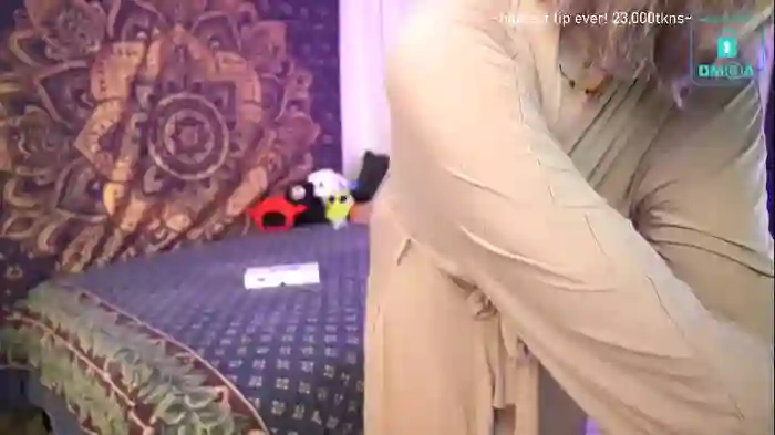 laylas_universe