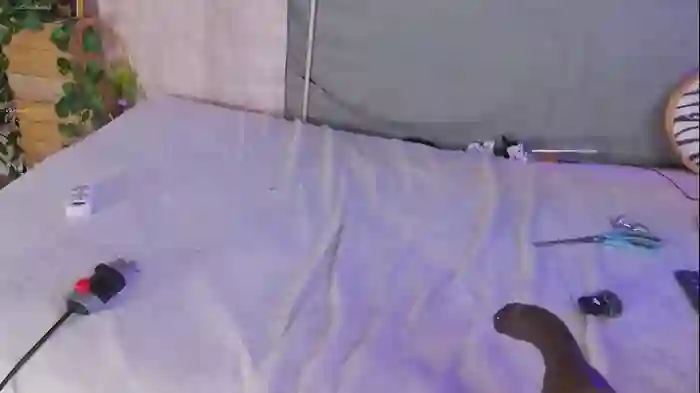 mollyflwers