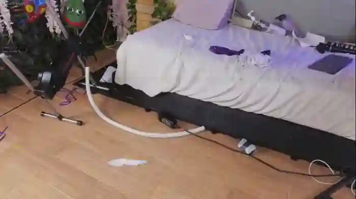 mollyflwers