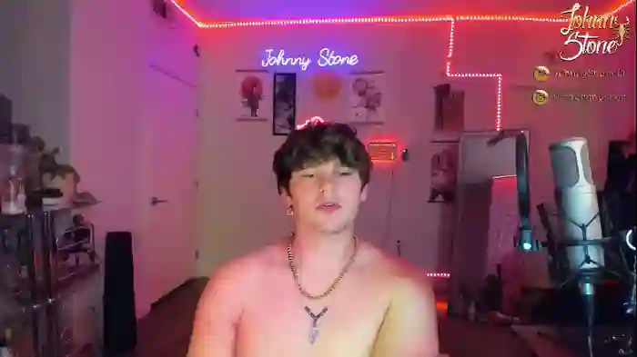 thejohnnystone