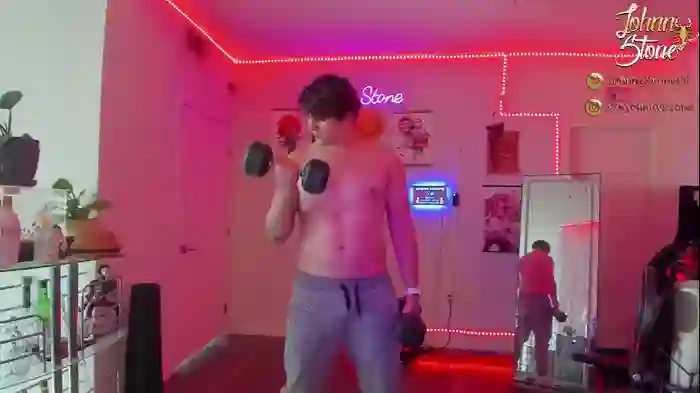 thejohnnystone