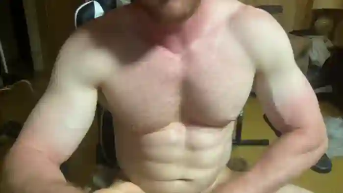 gingernospice