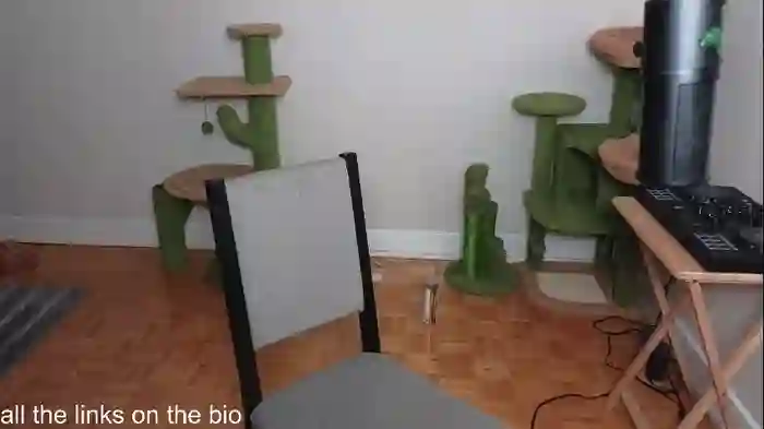 alexa_dream