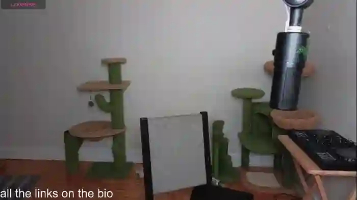 alexa_dream