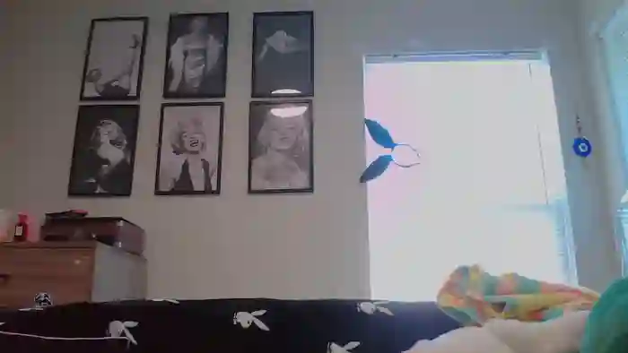 briadominick