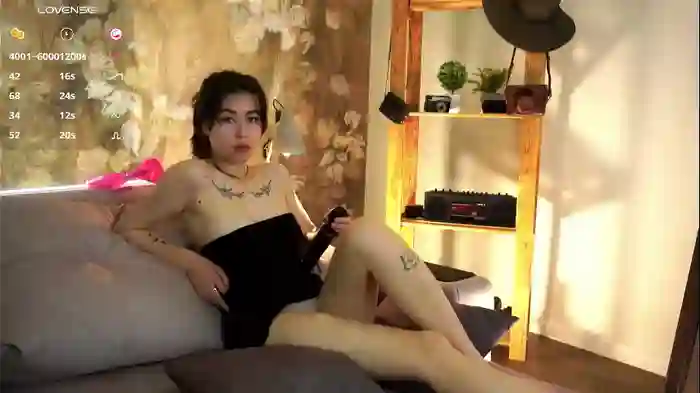 _kim_su_hen_