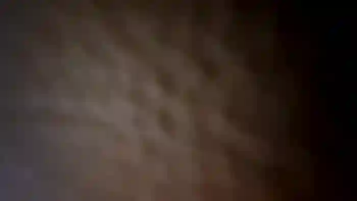 21nhornyy