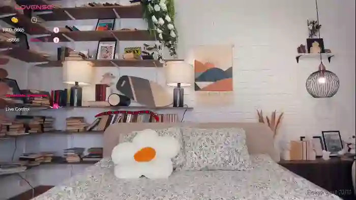 riskyproject