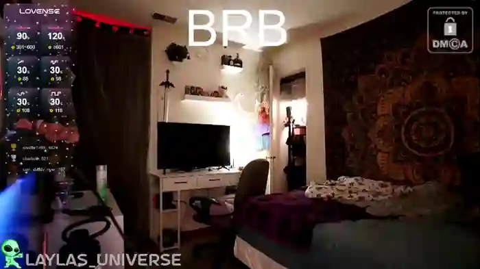 laylas_universe