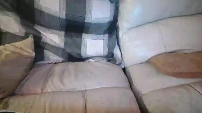 bigdicktrannynicole