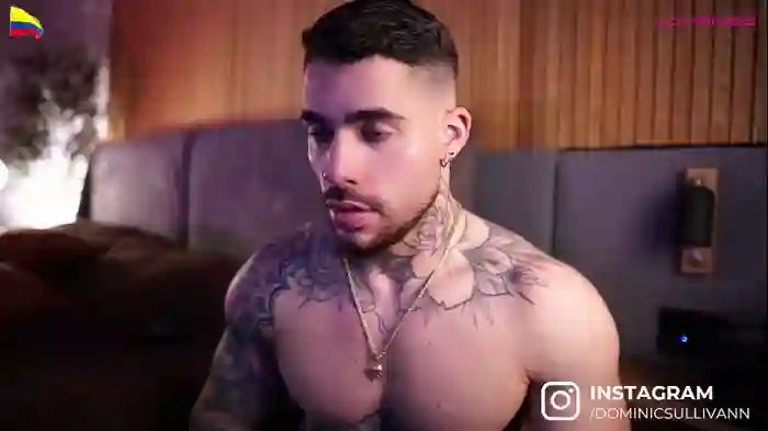 dominic_sullivan1