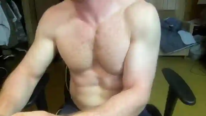 gingernospice