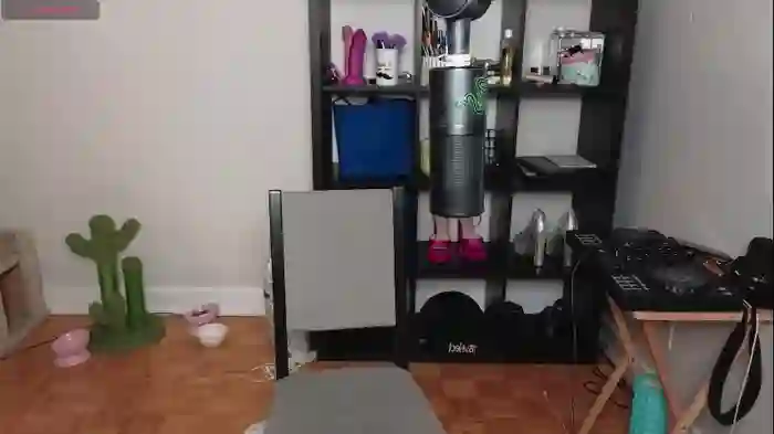 alexa_dream