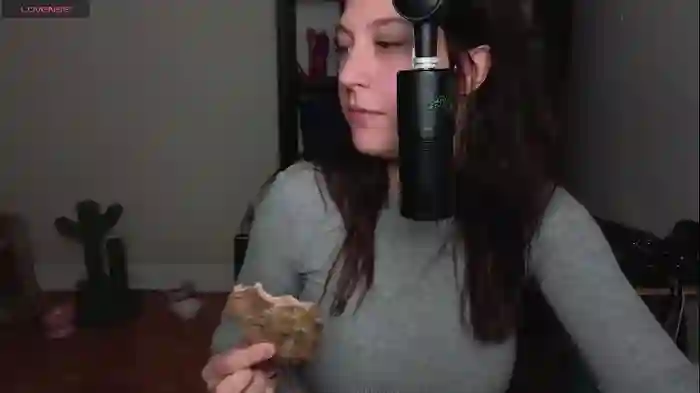 alexa_dream