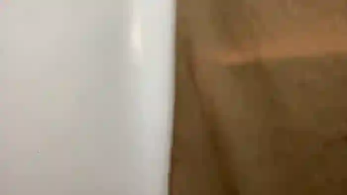 cheskahouston