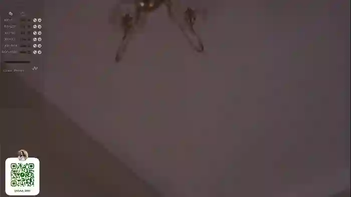 oki_dokie