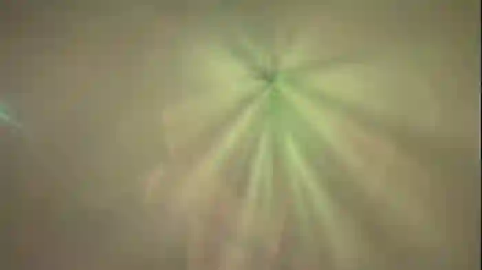 heybanan