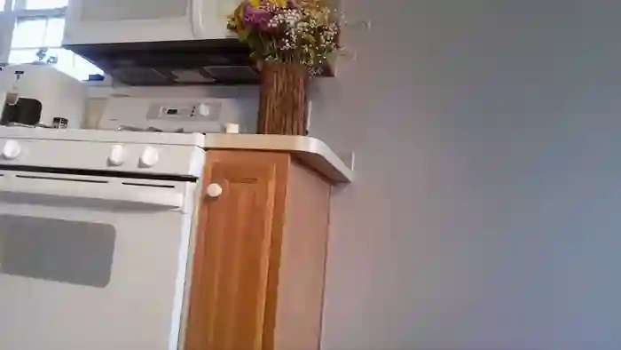 switchykitty