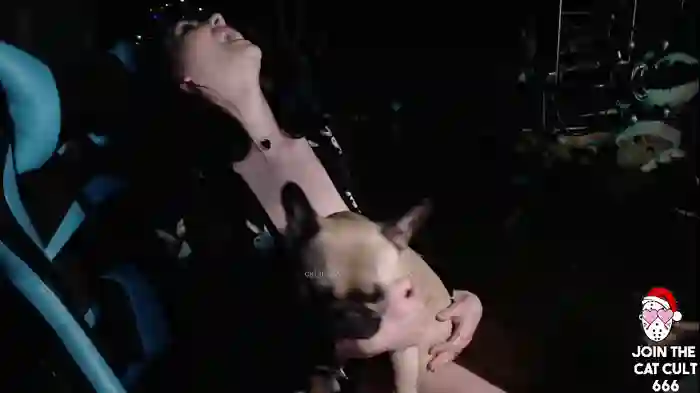 catjira