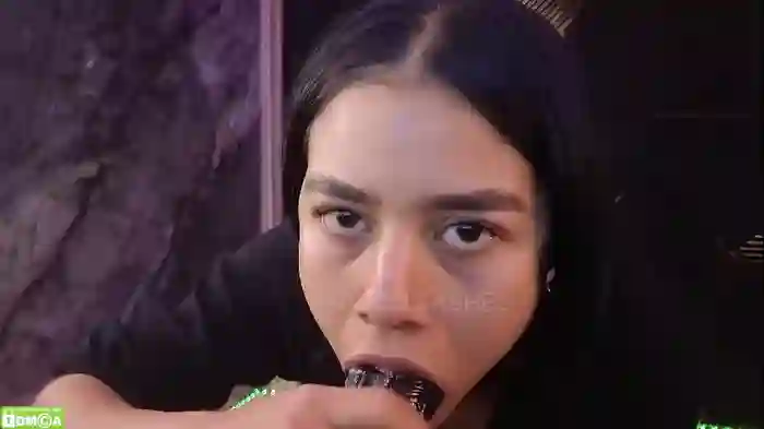 nicollbashel