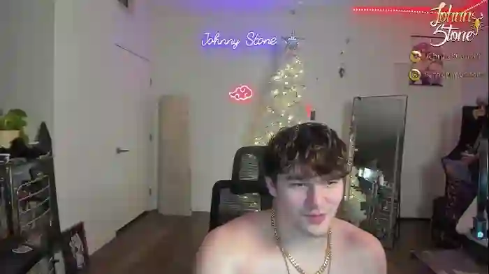 thejohnnystone