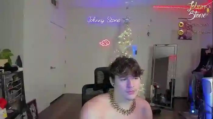 thejohnnystone