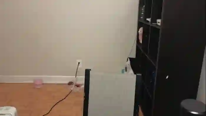 alexa_dream