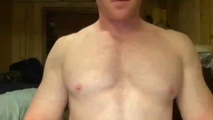 gingernospice