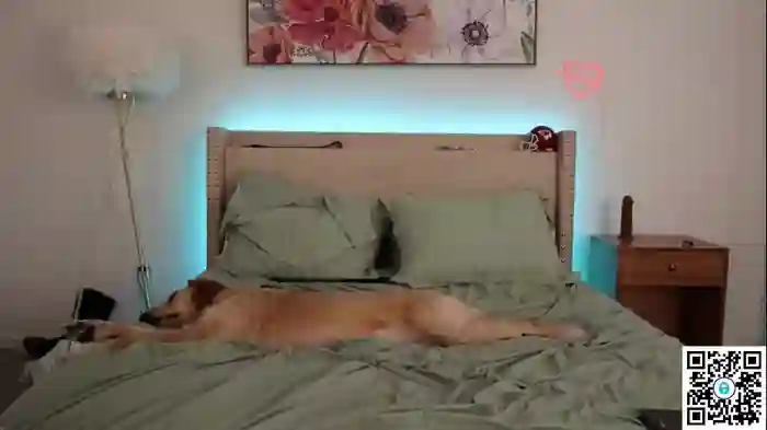 ari_lovexo
