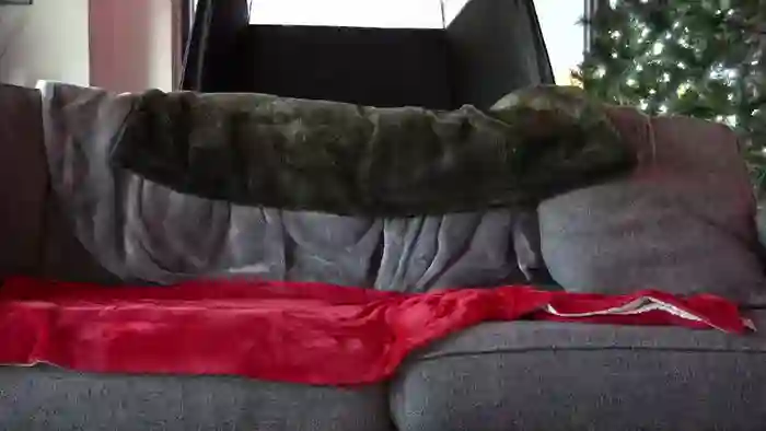 bigdickbandit247