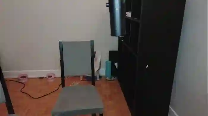 alexa_dream